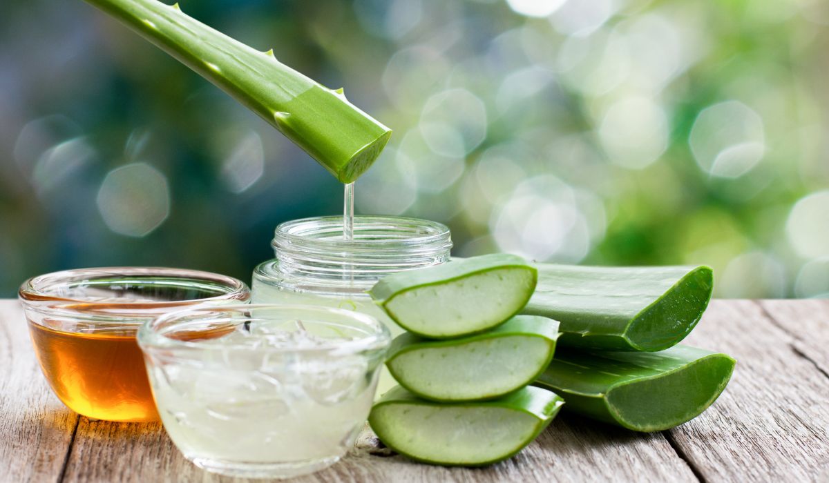 Ricette Naturali: Crema Viso Nutriente al Miele e Aloe Vera